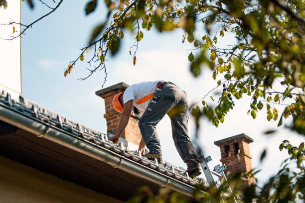 Best Residential Roof Replacement  in Dunstan, ME